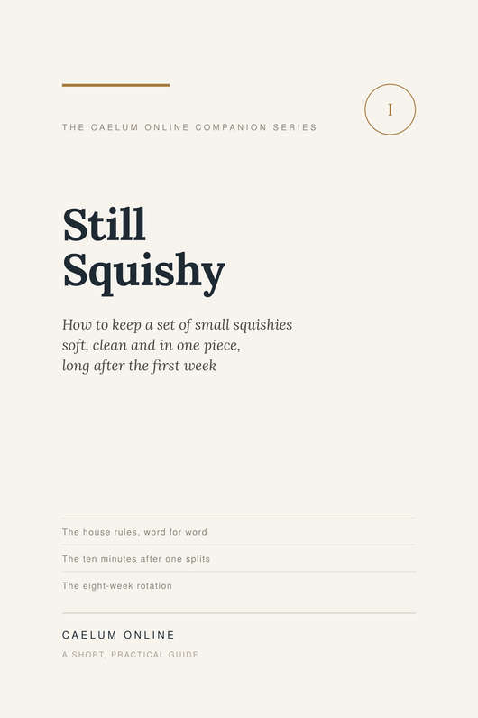 Ebook: Still Squishy — How to keep a set of small squishies soft, clean and in one piece long after the first week