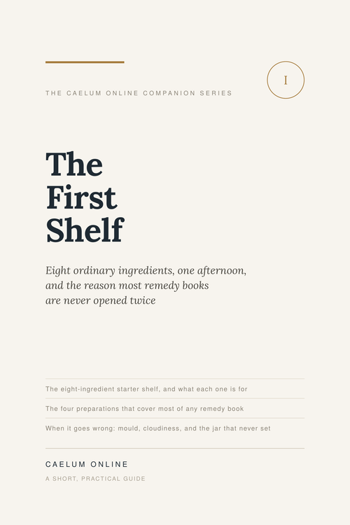 Ebook: The First Shelf — Eight ordinary ingredients, one afternoon