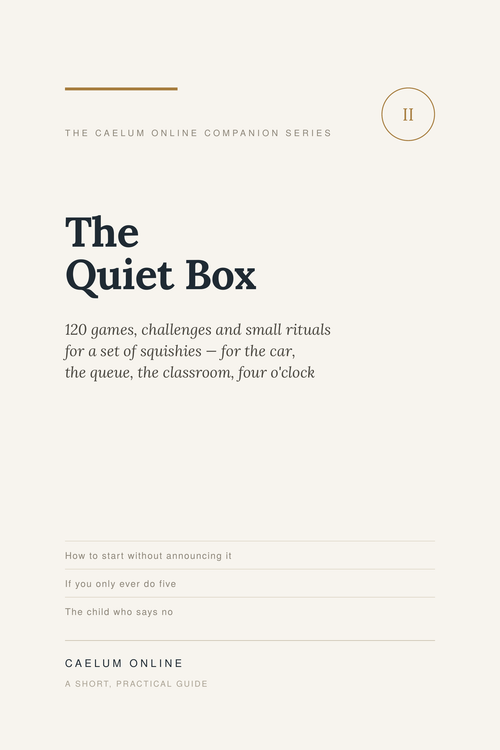 Ebook: The Quiet Box — 120 games, challenges and small rituals for a set of squishies